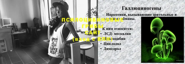 mix Бородино