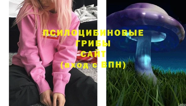 mix Бородино