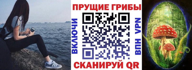 Галлюциногенные грибы ЛСД  kraken вход  Евпатория  где найти  