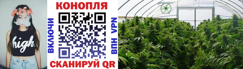 Бошки Шишки конопля  Евпатория 